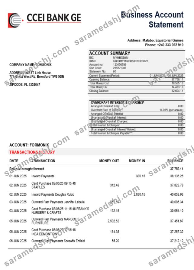 CCEI Bank business company account statement Word and PDF format